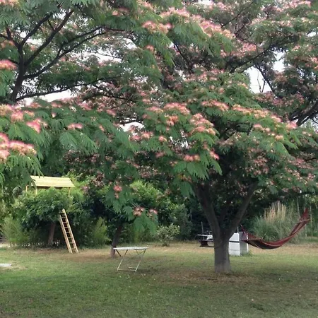 A La Campagne * Camélas