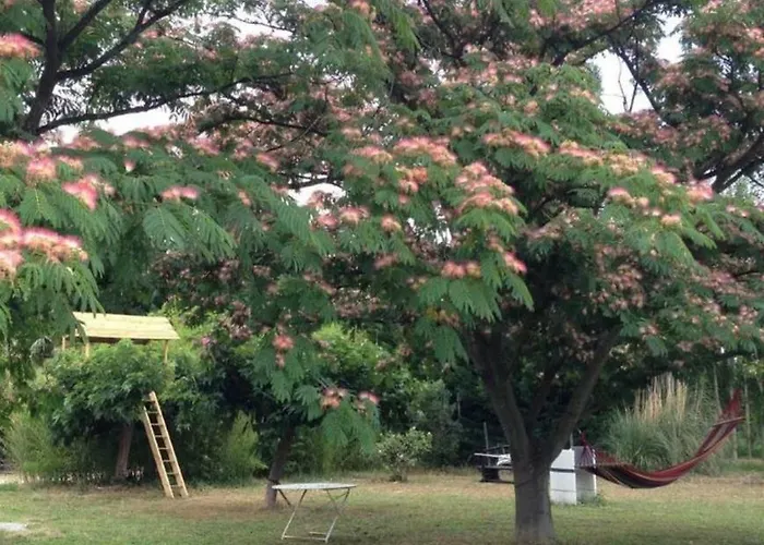 A La Campagne * Camélas